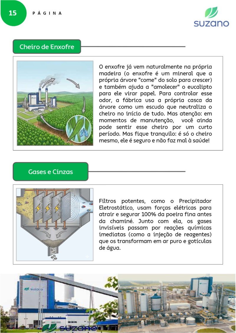 Suzano: Verdades que Importam — page 17