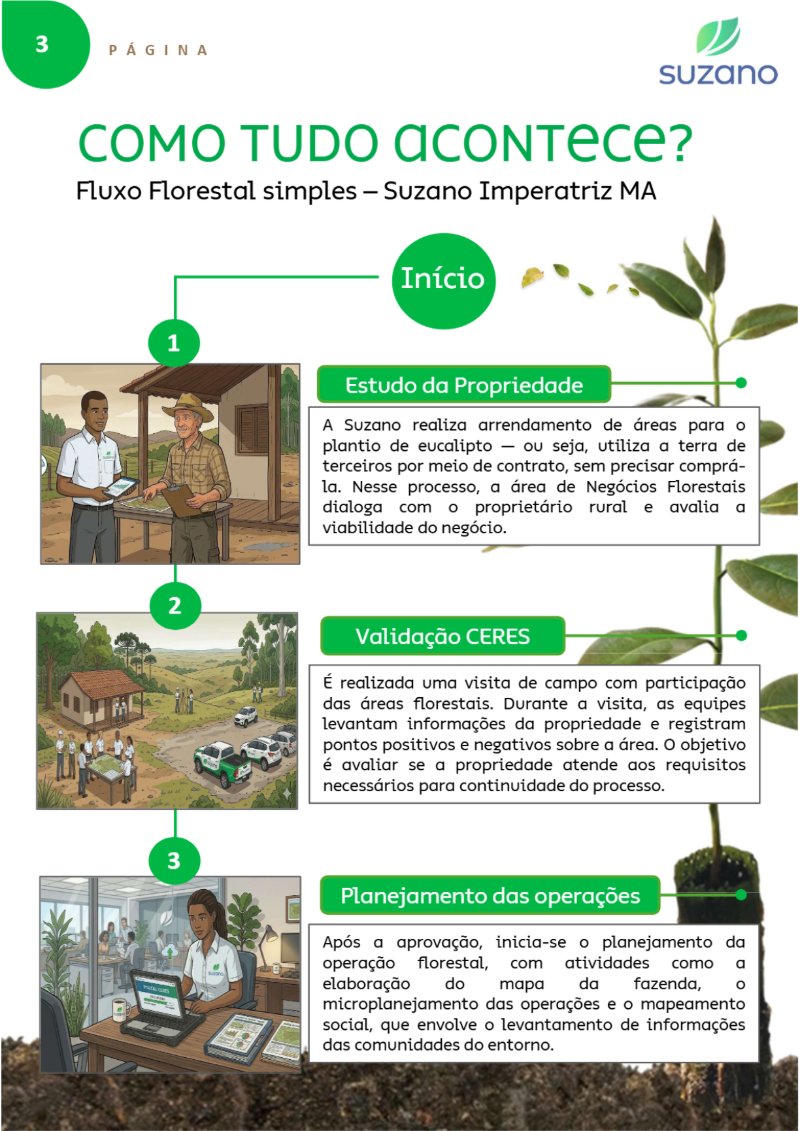 Suzano: Verdades que Importam — page 5