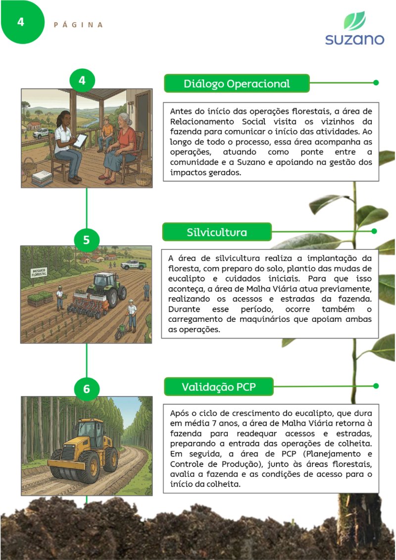 Suzano: Verdades que Importam — page 6