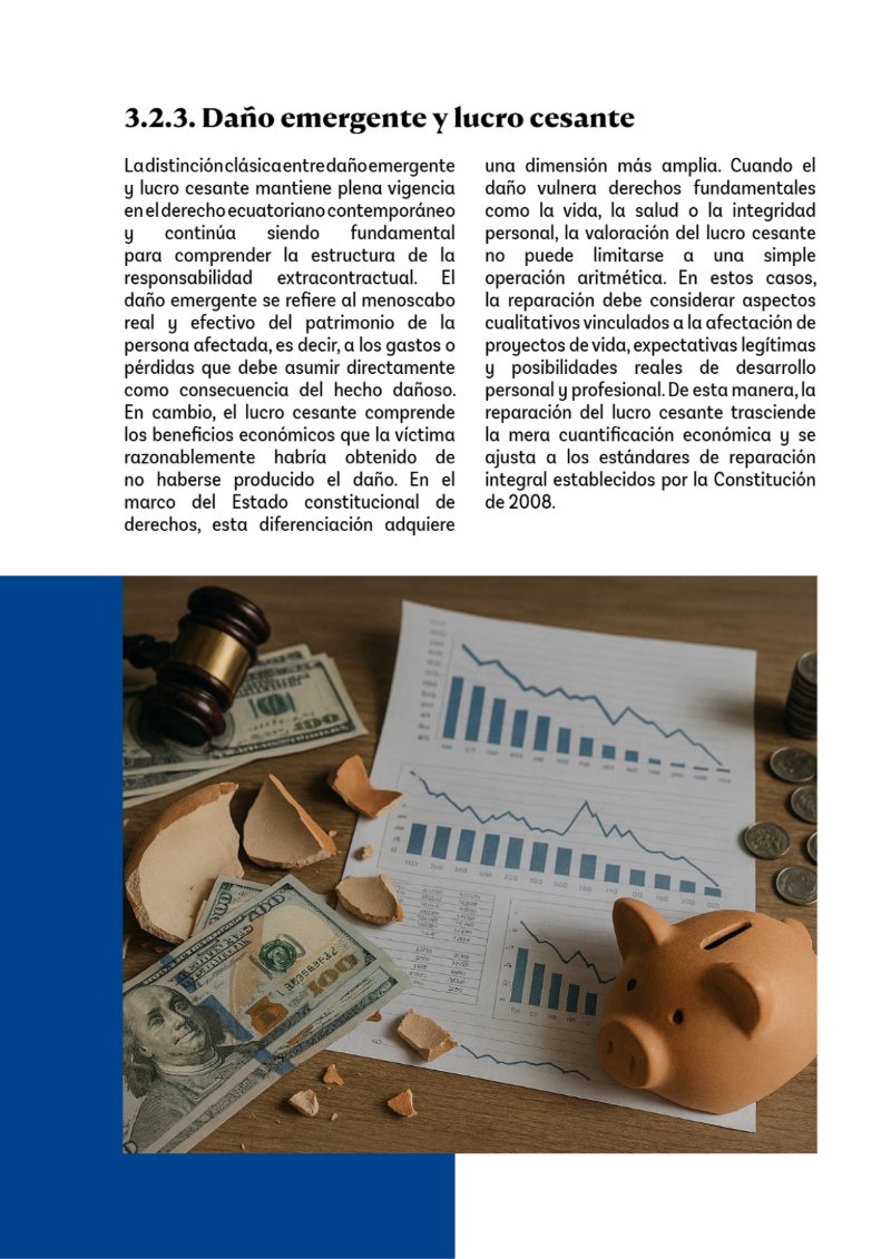 Revista de Derecho de Daños en el Ecuador — page 12
