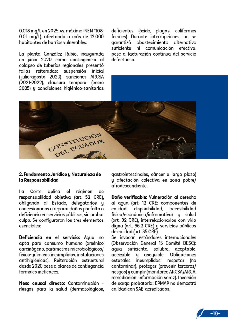 Revista de Derecho de Daños en el Ecuador — page 19