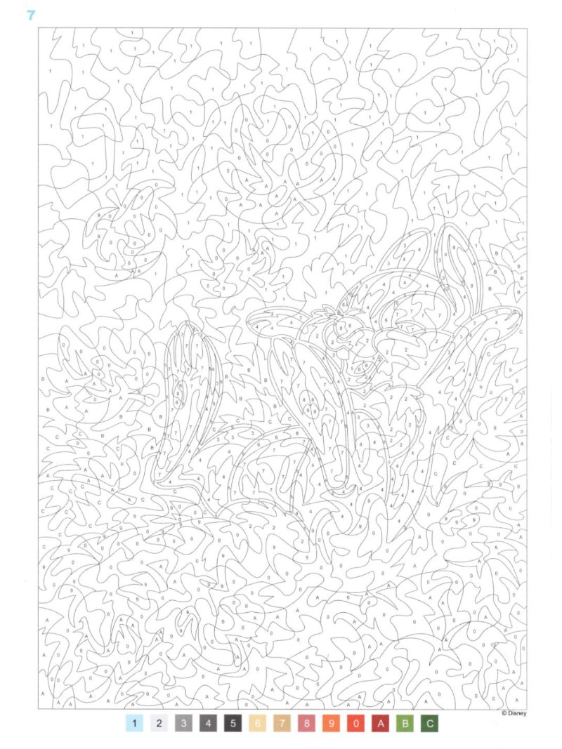 NATURE zorrito — page 8