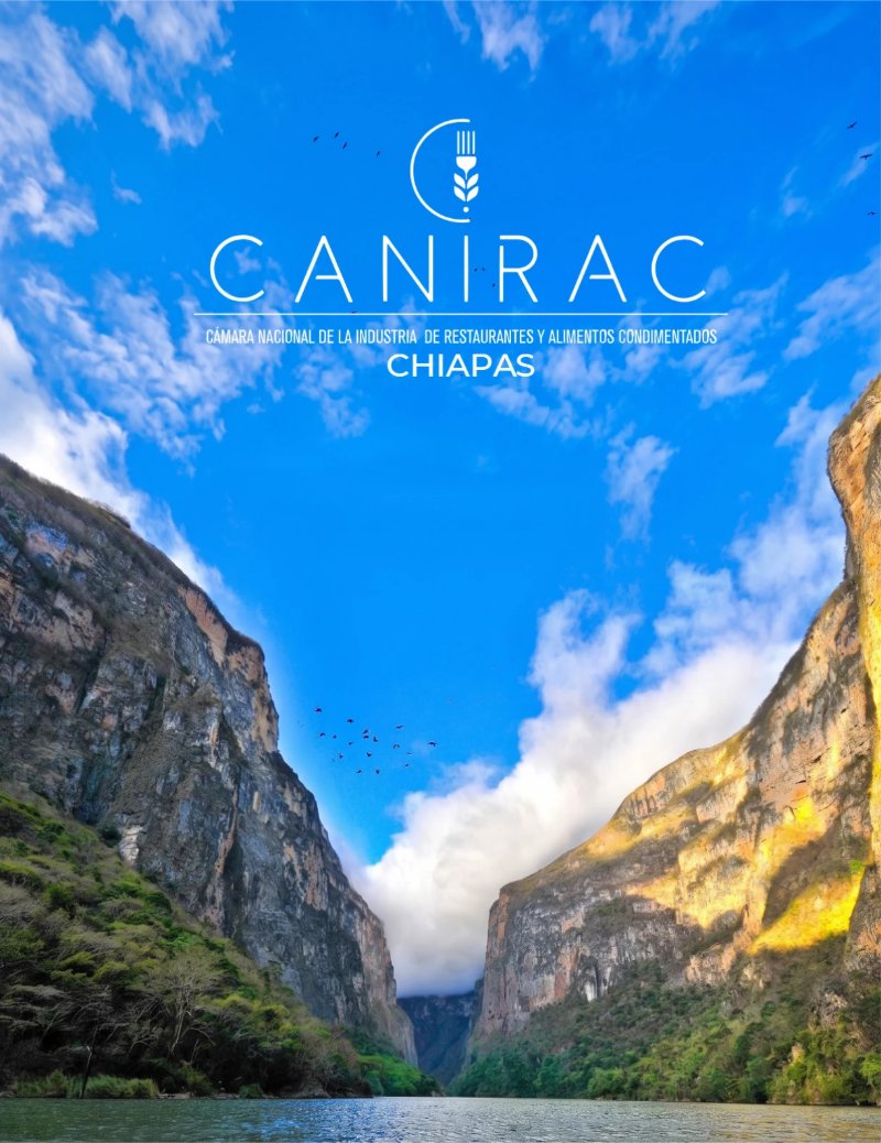 Revista CANIRAC — page 2