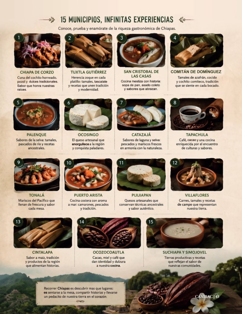 Revista CANIRAC — page 43