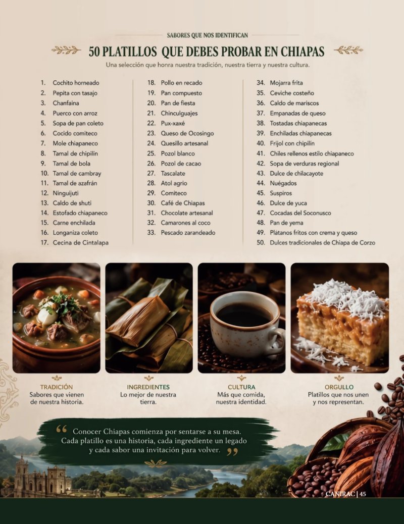 Revista CANIRAC — page 45