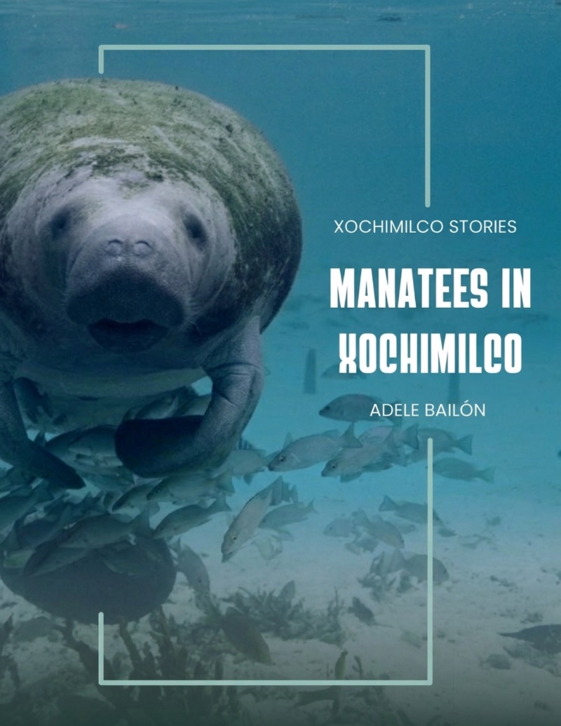 Manatees in Xochimilco — page 1