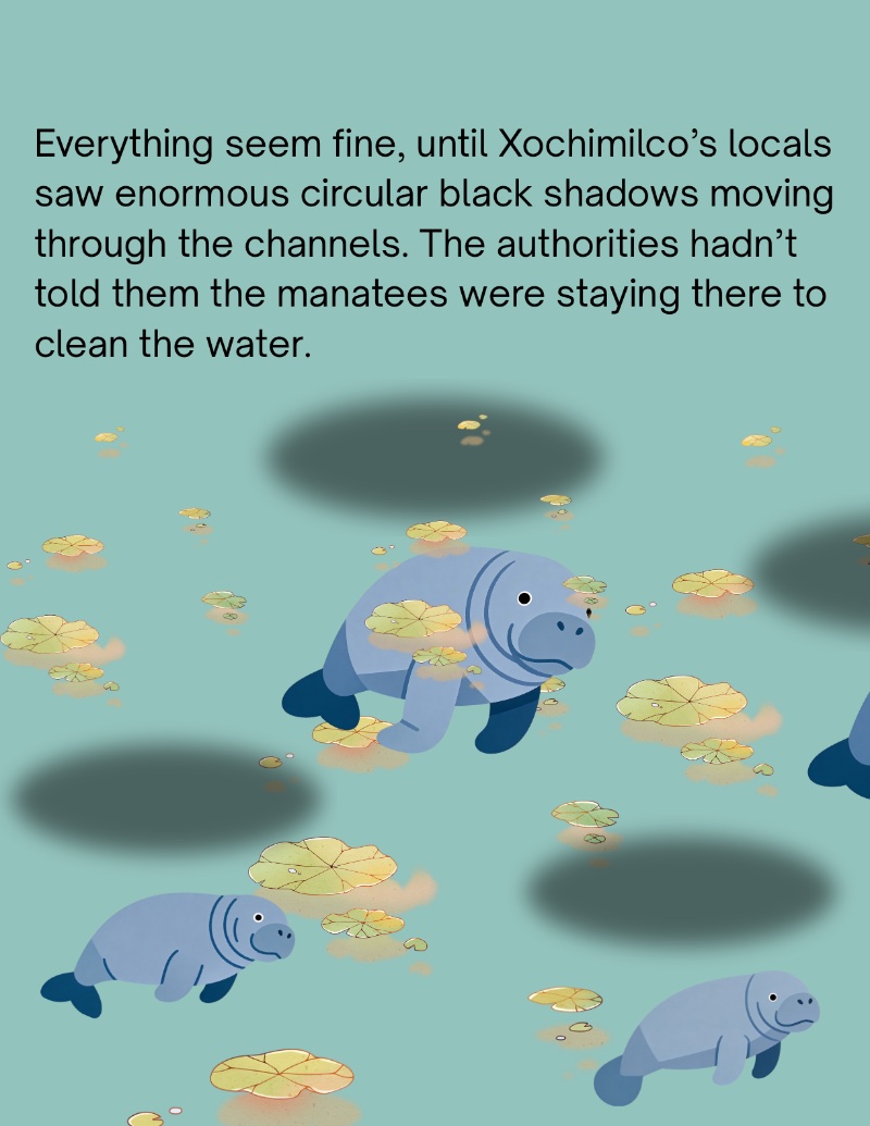 Manatees in Xochimilco — page 4