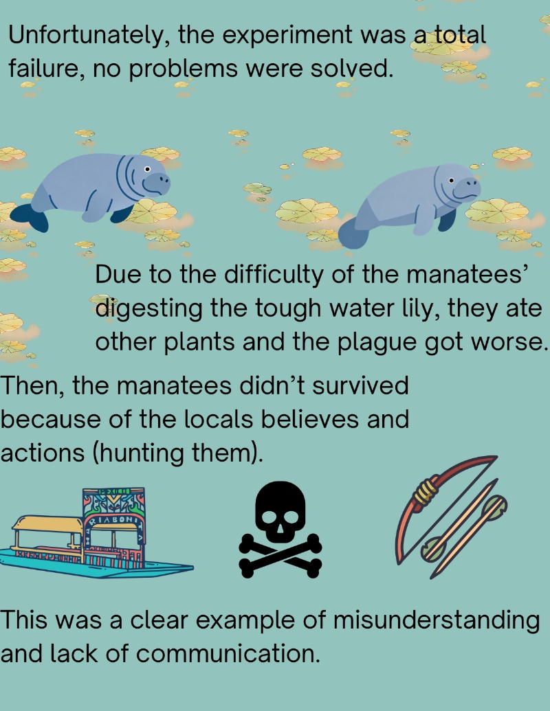 Manatees in Xochimilco — page 6