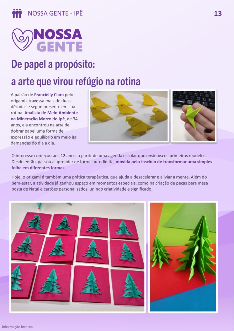 JORNAL CONEXÃO 76_VFINAL — page 13