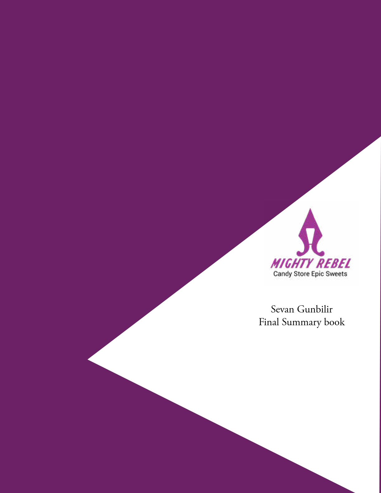 Final Summary Book 1 - Sevan Gunbilir