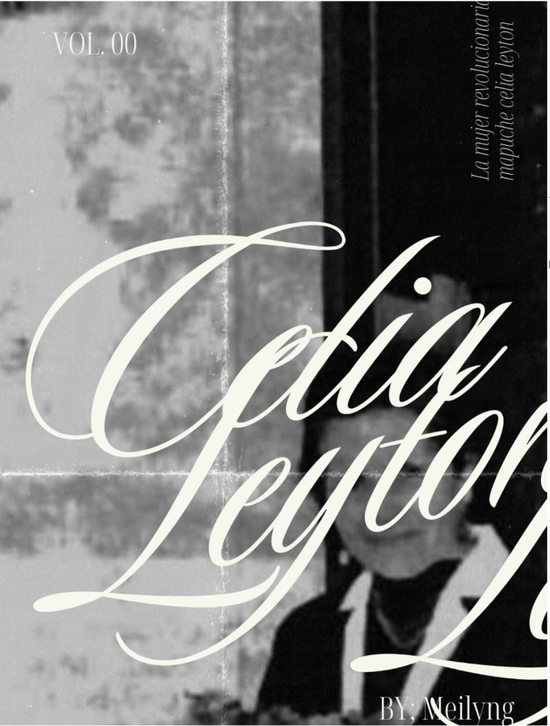 Muralismo en Temuco y el legado de Celia Leyton — page 2