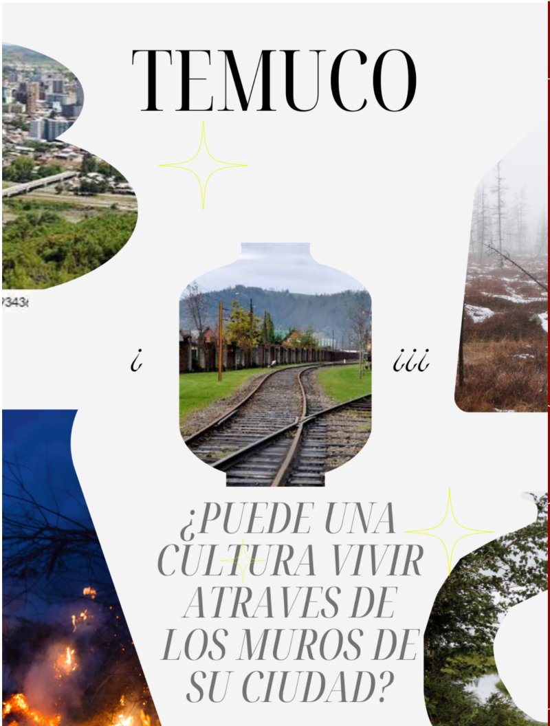 Muralismo en Temuco y el legado de Celia Leyton — page 16