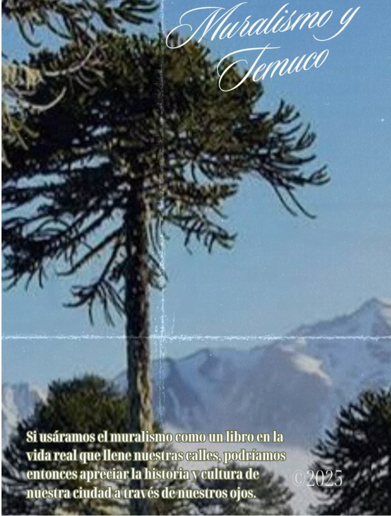 Muralismo en Temuco y el legado de Celia Leyton — page 19