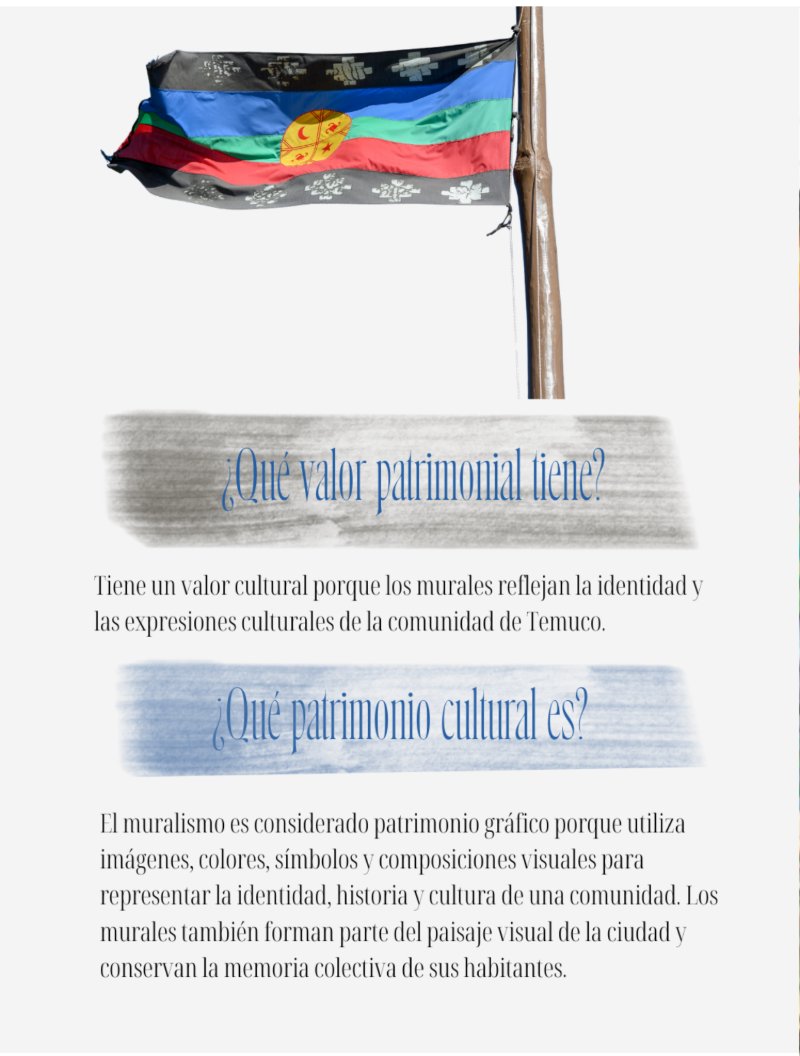 Muralismo en Temuco y el legado de Celia Leyton — page 6