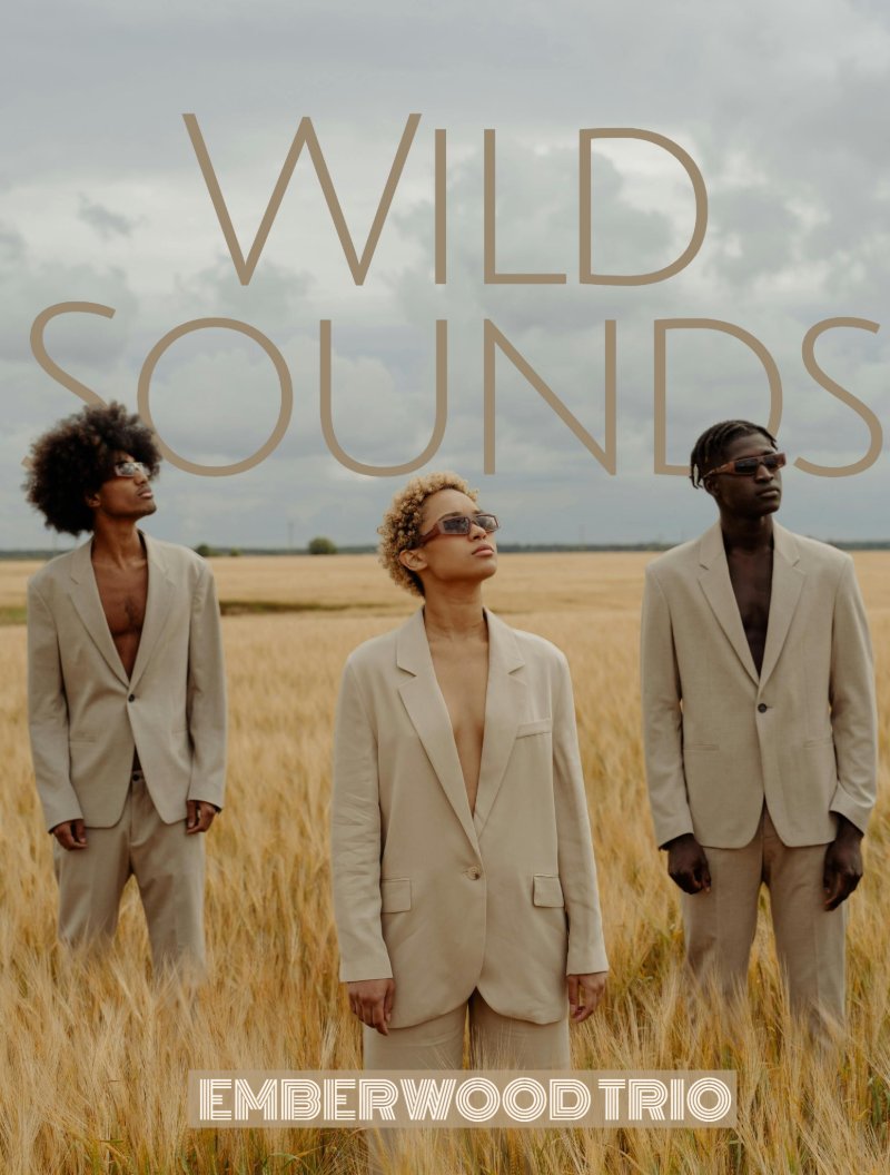 Wild Sounds Single — page 1