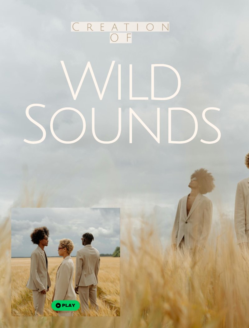 Wild Sounds Single — page 4