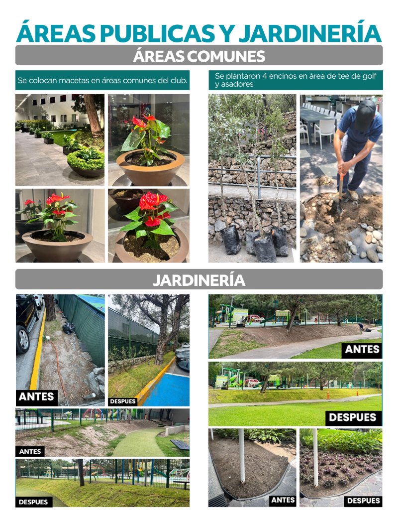 Alpino News — page 13