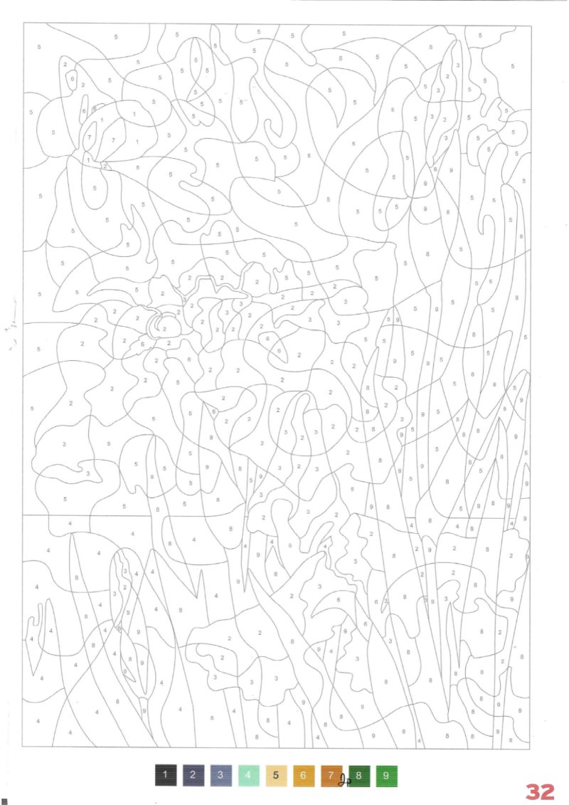 JAPON Adultos — page 34