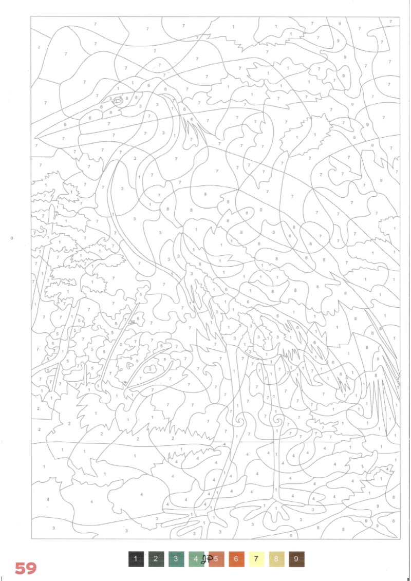 JAPON Adultos — page 61
