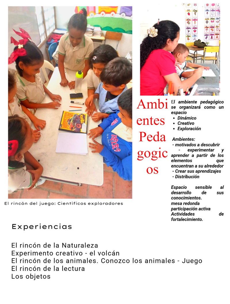 MAESTRO INVESTIGADOR REFLEXIVO — page 7