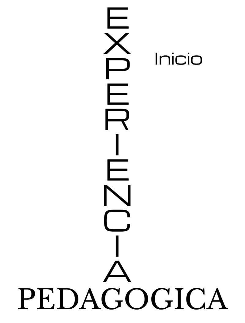 MAESTRO INVESTIGADOR REFLEXIVO — page 8