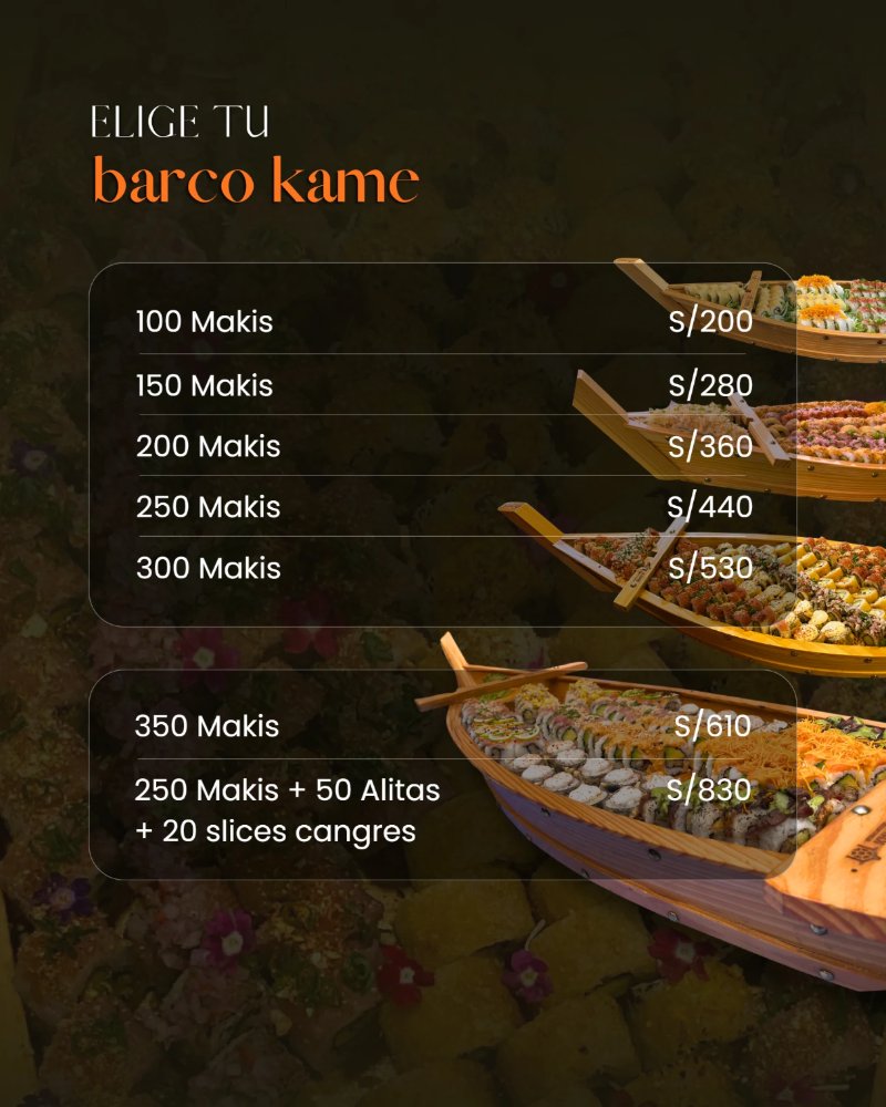 BROCHURE BARCOS (1) — page 4
