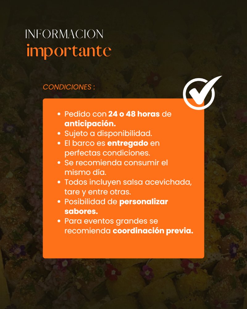 BROCHURE BARCOS (1) — page 5