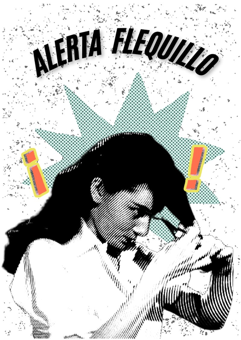 Alerta Flequillo. 1ed — page 1