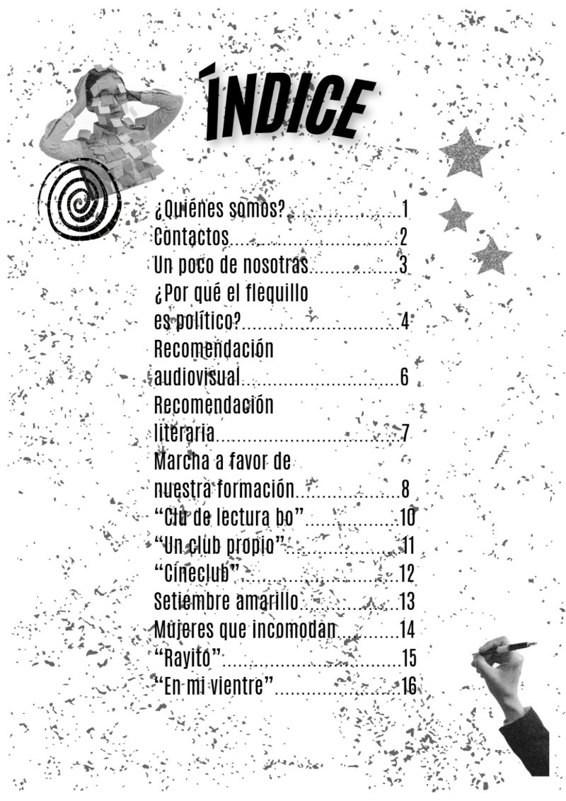 Alerta Flequillo. 1ed — page 2