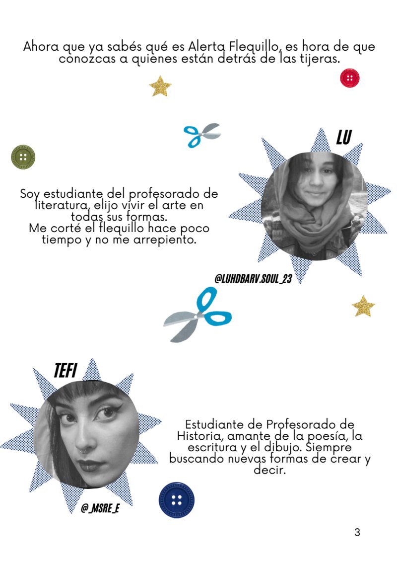 Alerta Flequillo. 1ed — page 5
