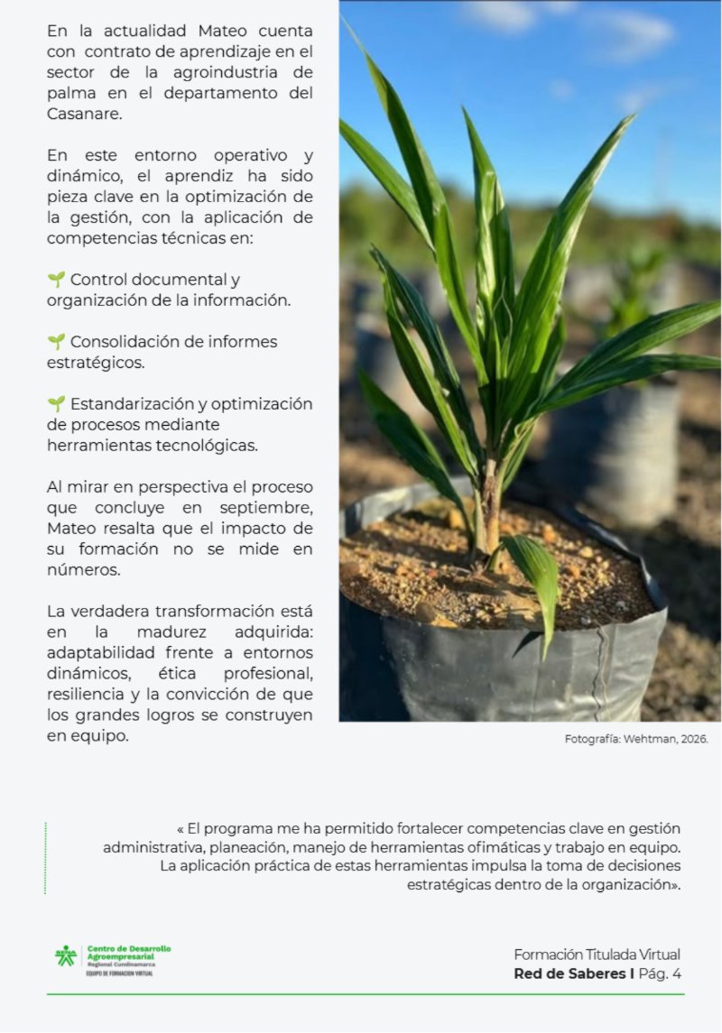 1. Boletín Red de Saberes, Julio 2026 — page 6