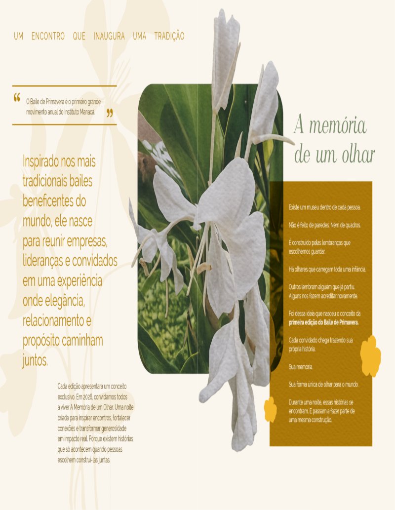 BOOK BAILE DE PRIMAVERA — page 3