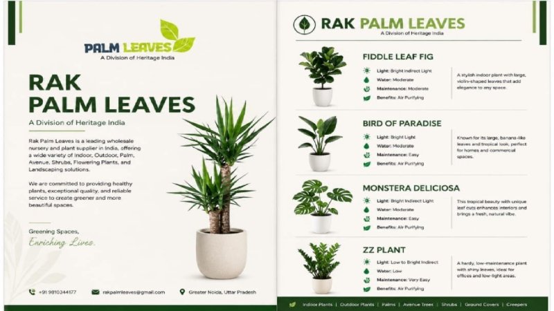 CATALOUGE OF INDOR PLANTS — page 1