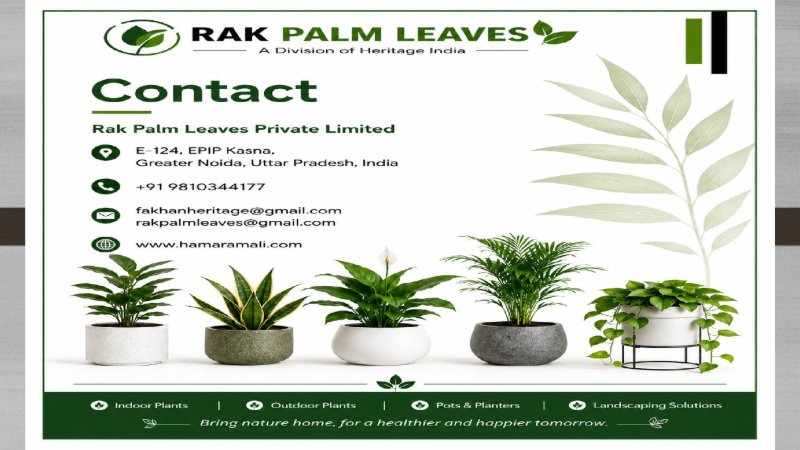CATALOUGE OF INDOR PLANTS — page 8