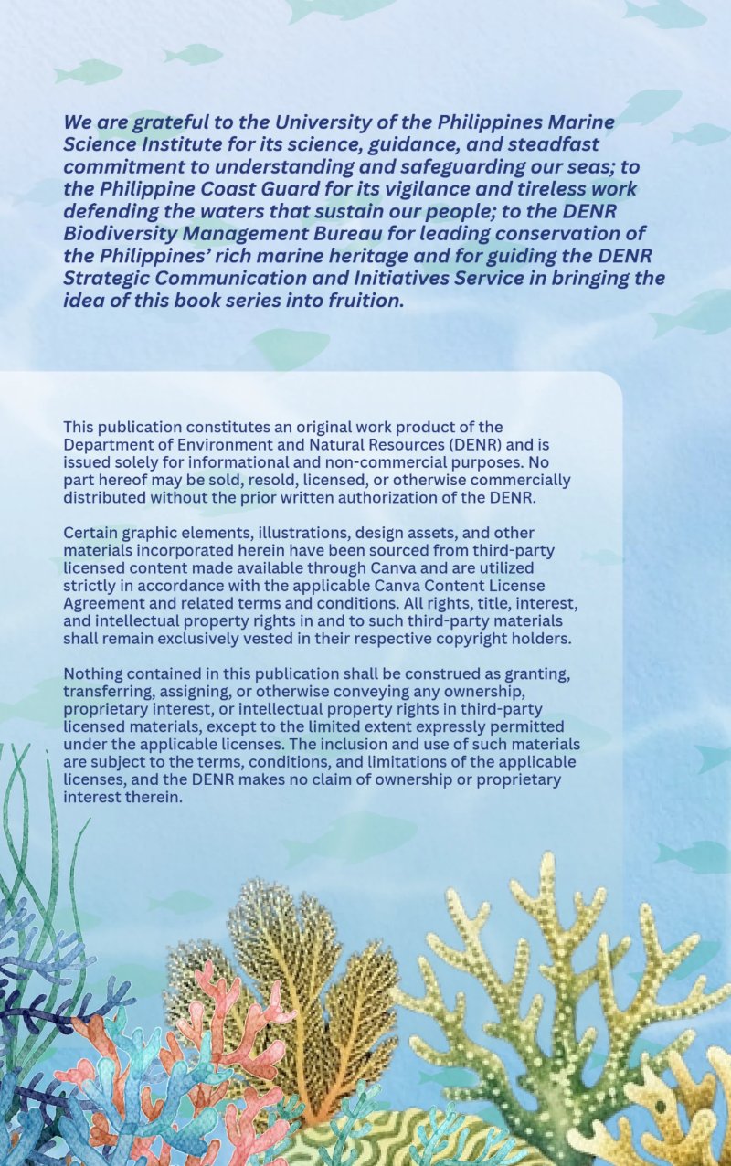 The Wonderful West Philippine Sea — page 2