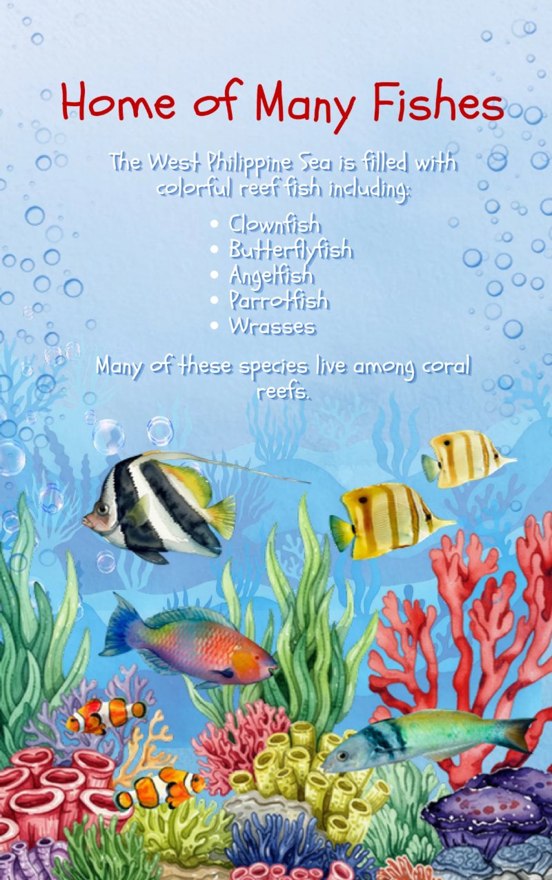 The Wonderful West Philippine Sea — page 12