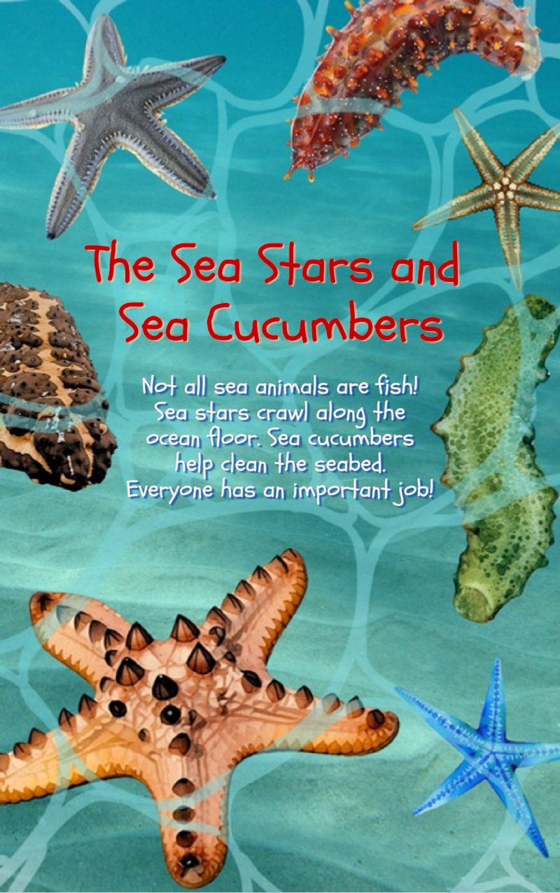 The Wonderful West Philippine Sea — page 16