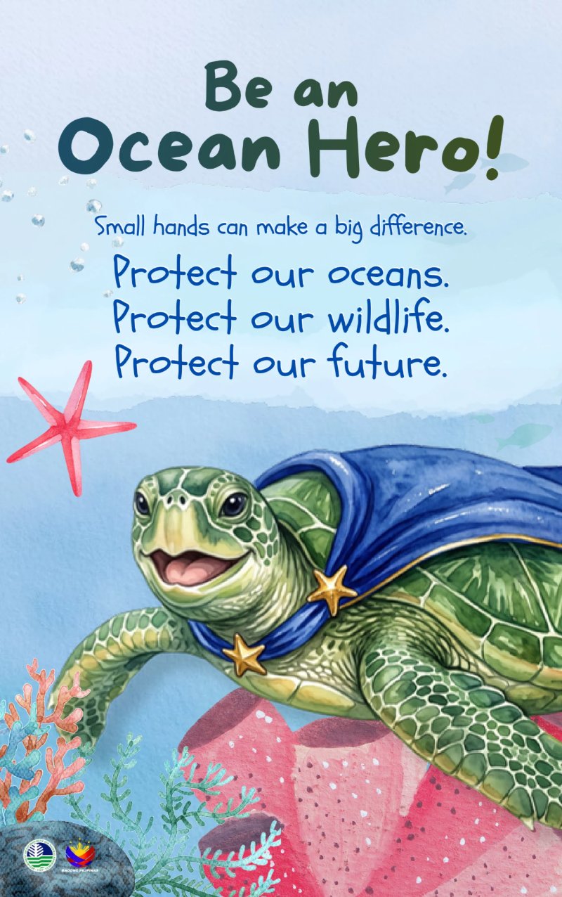 The Wonderful West Philippine Sea — page 27