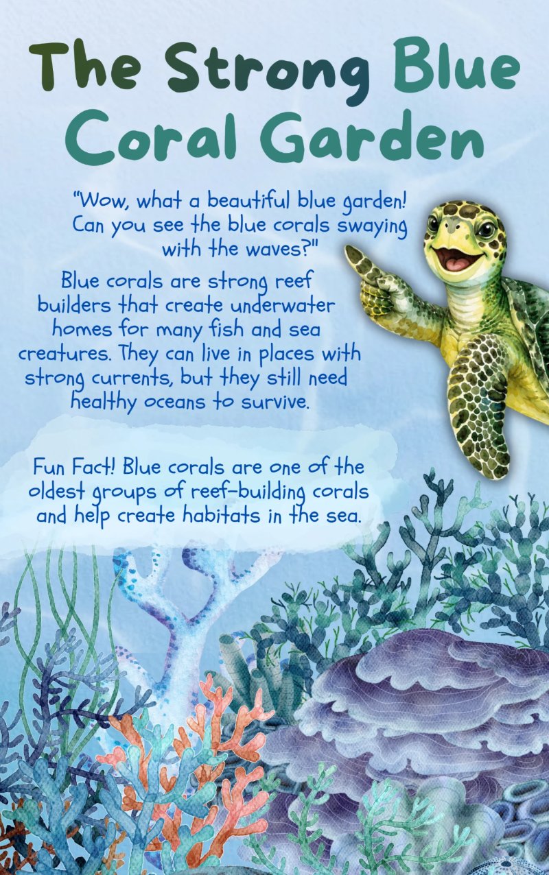The Wonderful West Philippine Sea — page 10