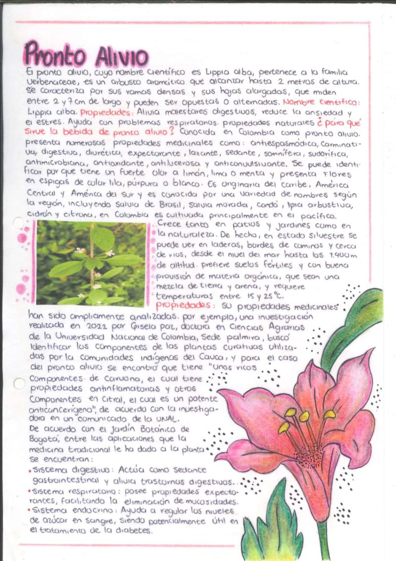 Quimica de los saberes ancestrales de mi Putumayo — page 12