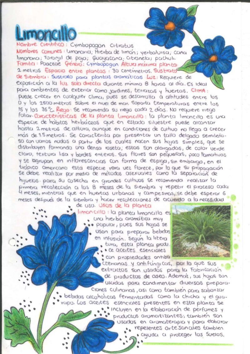 Quimica de los saberes ancestrales de mi Putumayo — page 14
