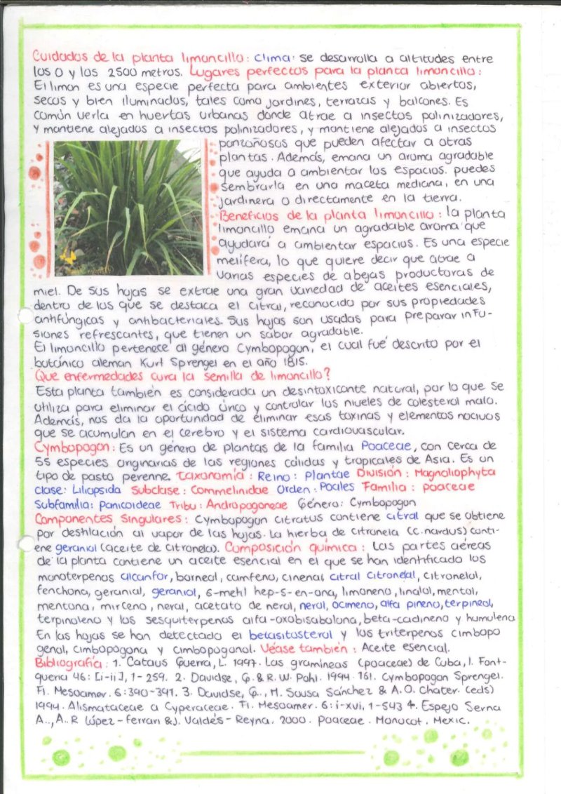 Quimica de los saberes ancestrales de mi Putumayo — page 15