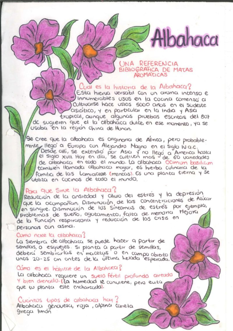 Quimica de los saberes ancestrales de mi Putumayo — page 3