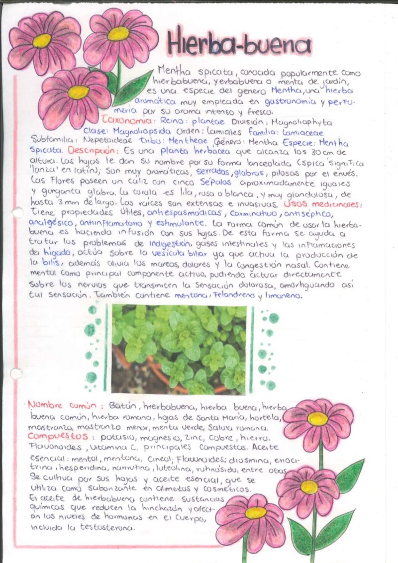 Quimica de los saberes ancestrales de mi Putumayo — page 21