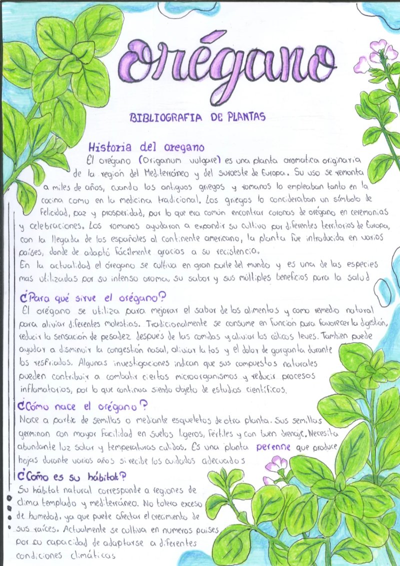 Quimica de los saberes ancestrales de mi Putumayo — page 23