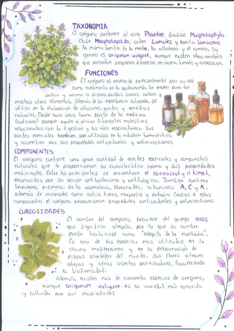 Quimica de los saberes ancestrales de mi Putumayo — page 24