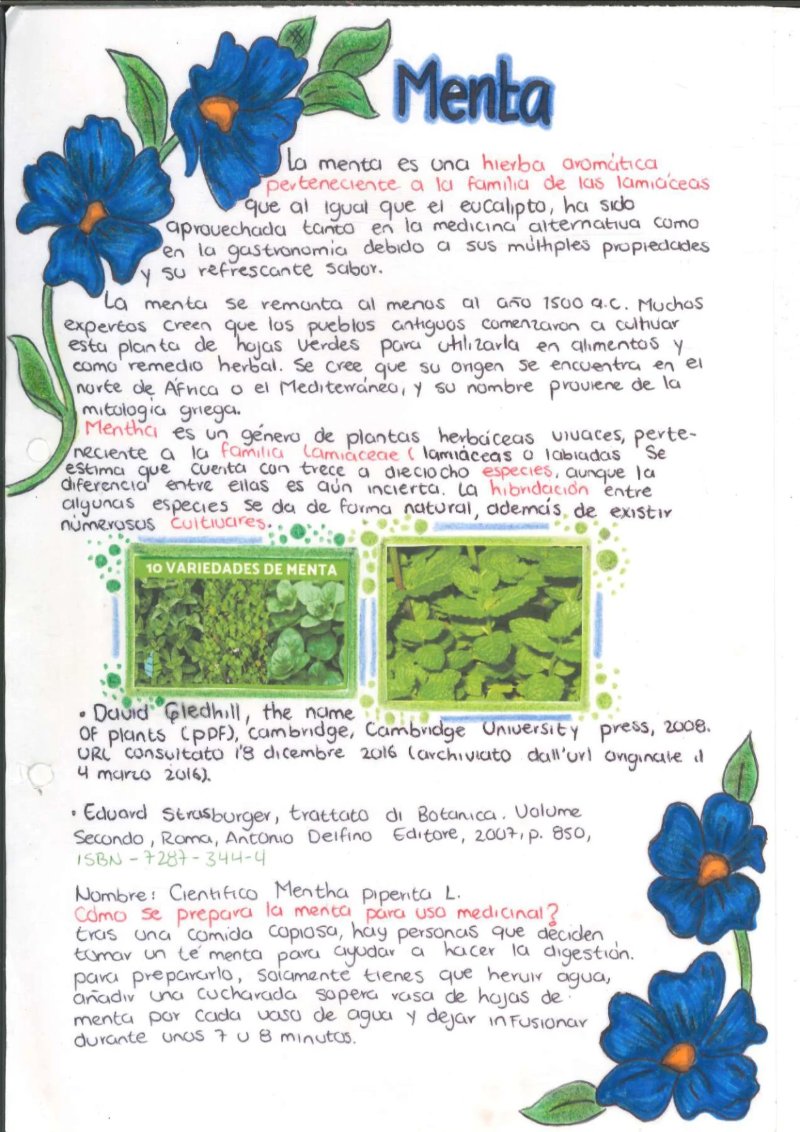 Quimica de los saberes ancestrales de mi Putumayo — page 6