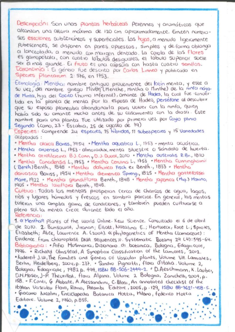 Quimica de los saberes ancestrales de mi Putumayo — page 7