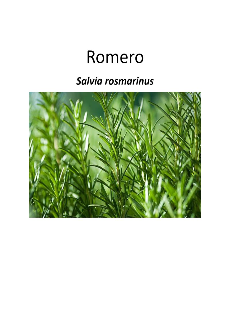Quimica de los saberes ancestrales de mi Putumayo — page 8