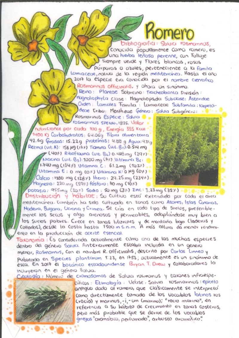 Quimica de los saberes ancestrales de mi Putumayo — page 9